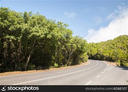 Road to the lush forest of the Gomera in the Canary Islands
