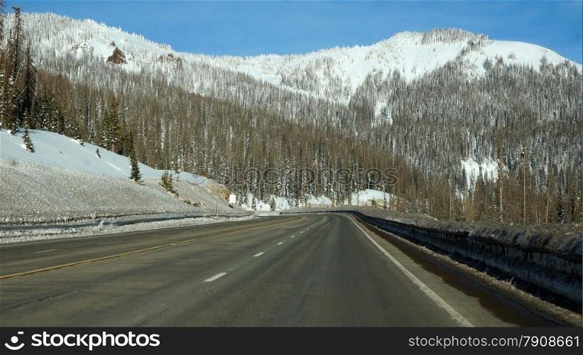 Road toward the pikes forest in the winter