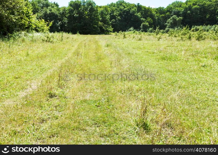 road tracks on green meadow in low caucasus mountains in summer day