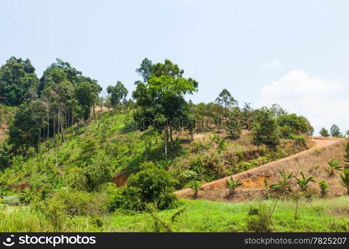 road up the mountain path. Area troublesome have a slope of the mountain.