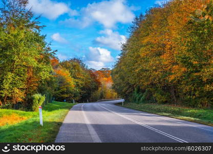 Road with a curve surrounded by trees in autumn