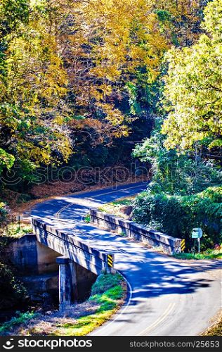 road with bridge leading into autumn forest