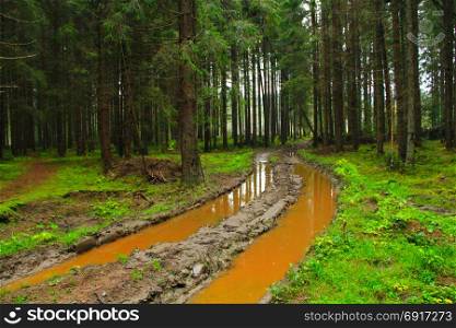 road with dirt and large pools in the forest. road with deep ditches and mud in the forest