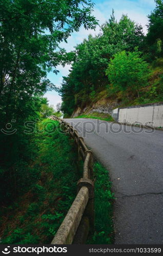 road with green trees in the mountain in the nature