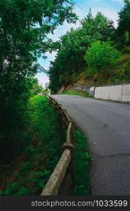 road with green trees in the mountain in the nature