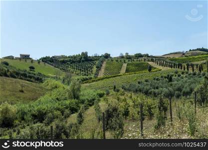 Roads, hills and agricultural land in Italy. Landscape with cypresses and vineyards. Sunny day.