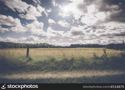 Roadside fence by a countryside meadow in cloudy weather