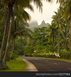 Roadway at Moorea in Tahiti
