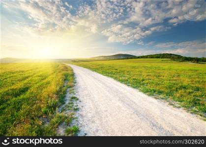 Roan lane in meadow and deep blue sky. Nature design.
