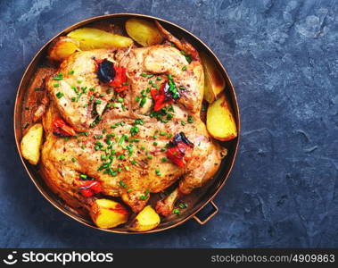 roast chicken tobacco on pan. grilled chicken cooked in pan with spices