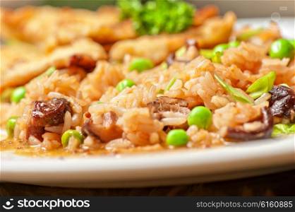 Roast pork and rice . Roast pork and rice with vegetables and mushrooms