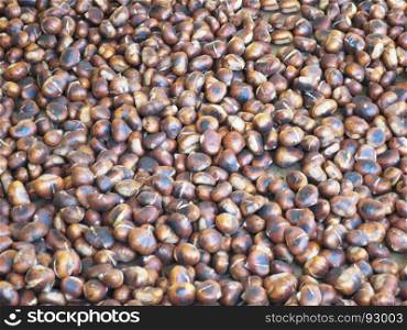 roasted brown chestnuts