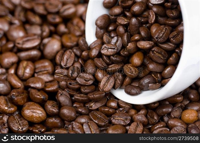 roasted coffee beans and a cup on them