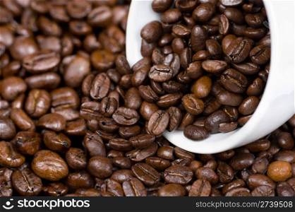 roasted coffee beans and a cup on them