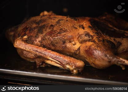 roasted goose . roasted goose still in the oven light by the oven lamp