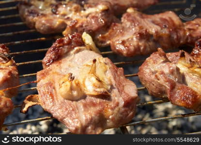 Roasted meat with spices on the barbecue