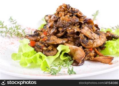Roasted mushrooms salad isolated on a white background