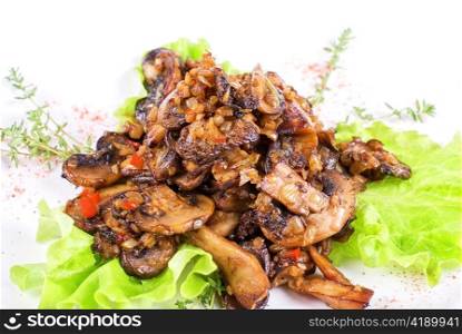 Roasted mushrooms salad isolated on a white background