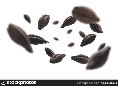 Roasted rye malt grains levitate on a white background.. Roasted rye malt grains levitate on a white background