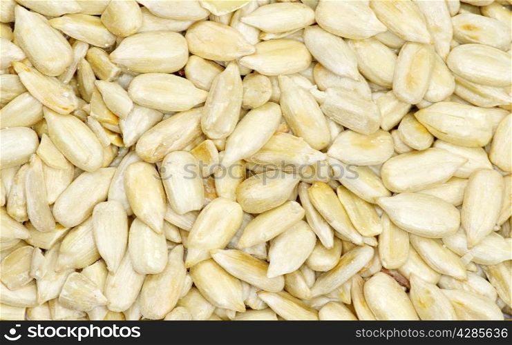 roasted sunflower seeds close up