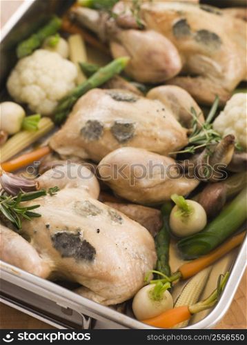 Roasting Tray of Black Truffled Poussins with Baby Spring Vegetables
