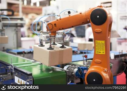 Robotic arm for packaging