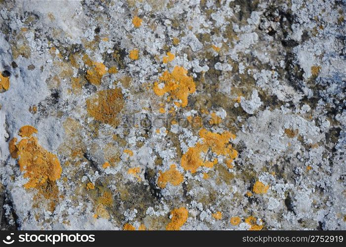 Rock background. A structure of stones, rocky breeds