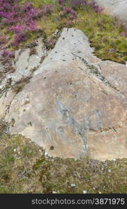 Rock Cannon were holes drilled in rock used in celebrations when gunpowder exploded. This associated with Dinorwic Slate Quarry, Snowdonia, Wales, United Kingdom