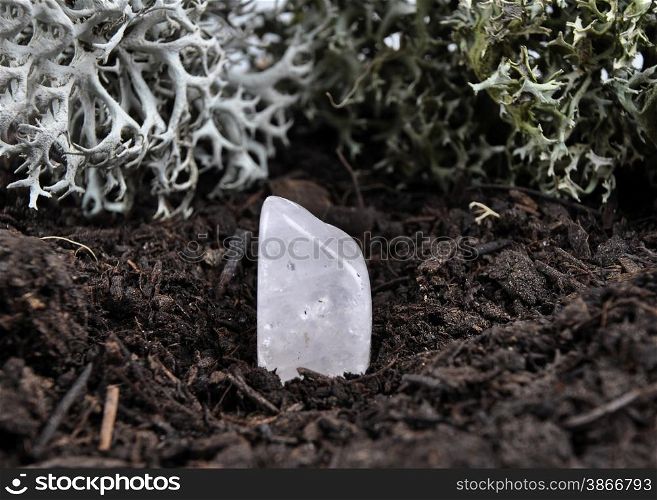 Rock crystal on forest floor