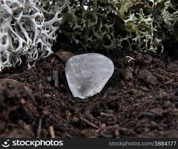 Rock crystal on forest floor