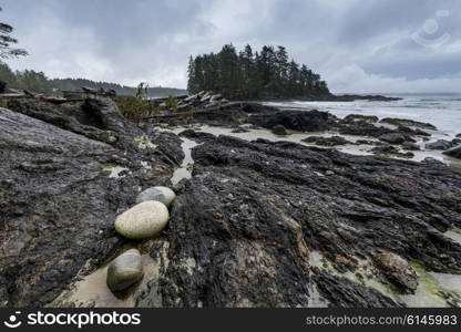 Rock formation at coastline, Pacific Rim National Park Reserve, British Columbia, Canada