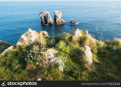 Rock formation at the ocean. Playa de la Arnia, Cantabria, Spain