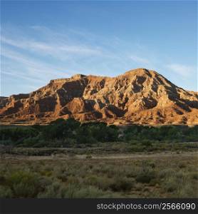 Rock formation in desert of Zion National Park, Utah.