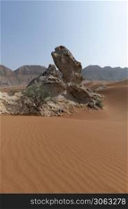 Rock formation in the desert (looks like a Sphinx), Sharjah, United Arab Emirates, UAE, Middle East, Arabian Peninsula. Rock formation in the desert, Sharjah, UAE