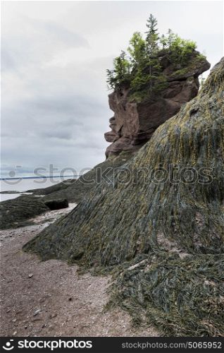 Rock formations at Hopewell Rocks, Bay of Fundy, New Brunswick, Canada