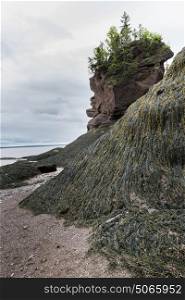 Rock formations at Hopewell Rocks, Bay of Fundy, New Brunswick, Canada