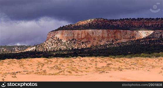 Rock formations in a desert, Coral Pink Sand Dunes State Park, Utah, USA