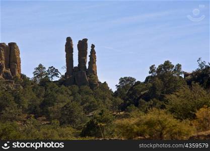 Rock formations in a forest, Sierra De Organos, Sombrerete, Zacatecas State, Mexico