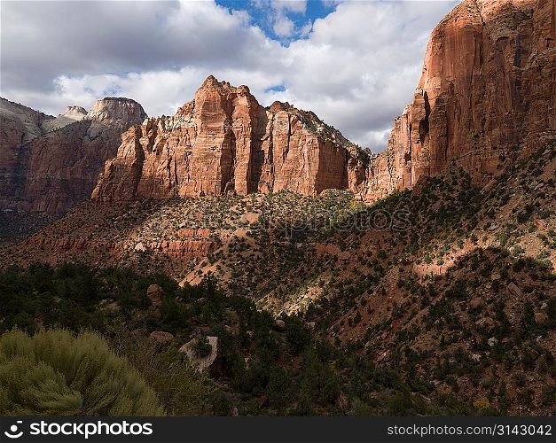 Rock formations in a national park, Zion National Park, Utah, USA