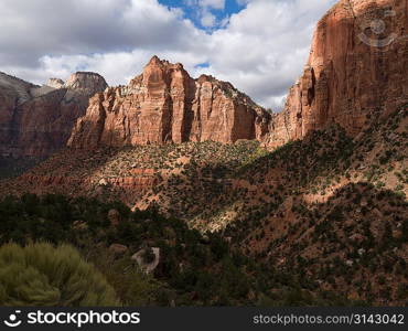 Rock formations in a national park, Zion National Park, Utah, USA