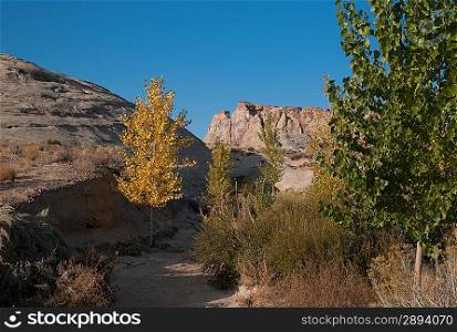 Rock formations on a landscape, Utah, USA