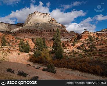 Rock formations on a landscape, Zion National Park, Utah, USA