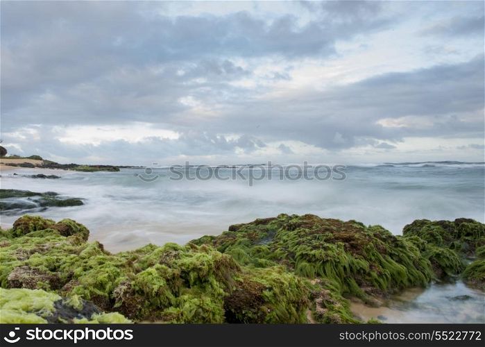Rock formations on the coast, Sandy Beach, Hawaii Kai, Honolulu, Oahu, Hawaii, USA