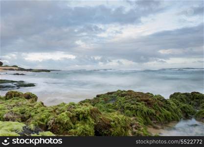 Rock formations on the coast, Sandy Beach, Hawaii Kai, Honolulu, Oahu, Hawaii, USA