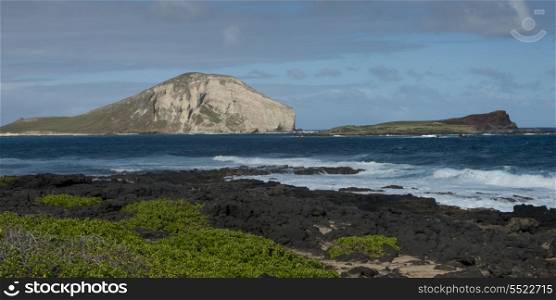 Rock formations on the coast, Waimanalo, Makapuu Point, Honolulu, Oahu, Hawaii, USA