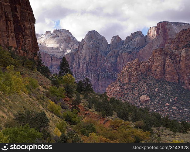 Rock formations, Zion National Park, Utah, USA