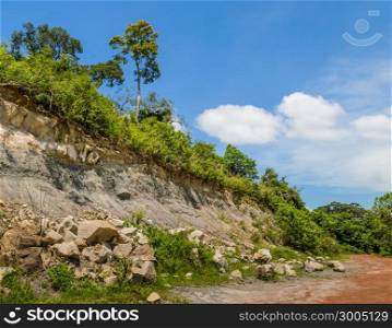 Rock landslide in the forest
