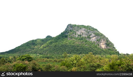 rock mountain hill with green forest isolate on white background