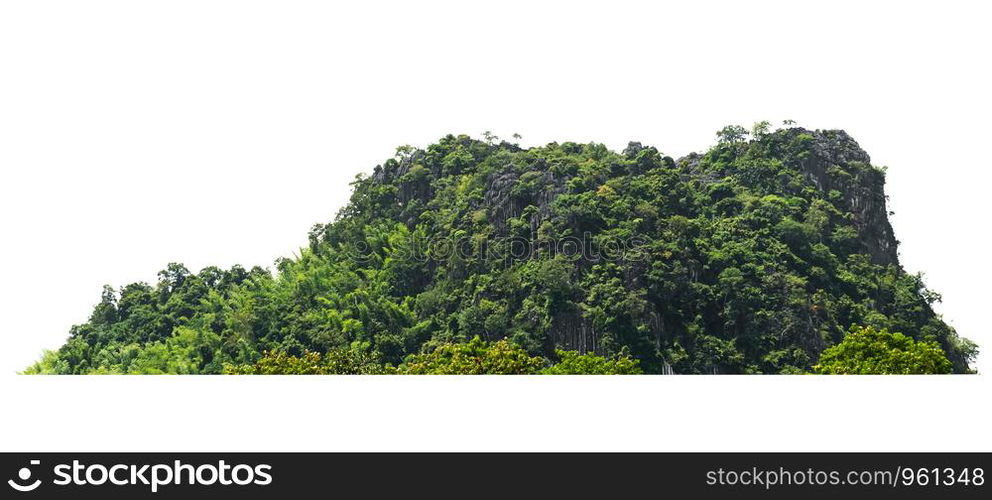 rock mountain hill with green forest isolate on white background