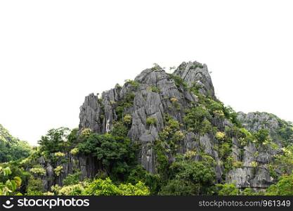 rock mountain hill with green forest isolate on white background